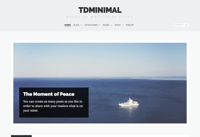 tdMinimal - Responsive WordPress Theme