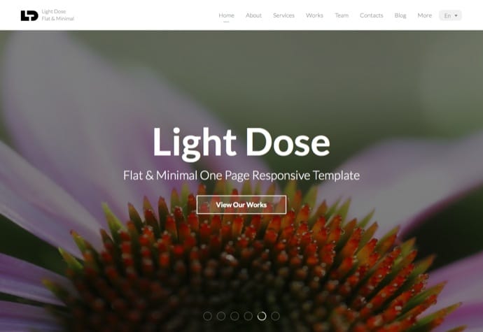 LightDose — Flat&Minimal WordPress Theme