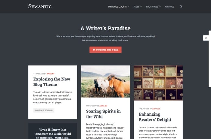 Semantic - Responsive & Clean WordPress Blog Theme