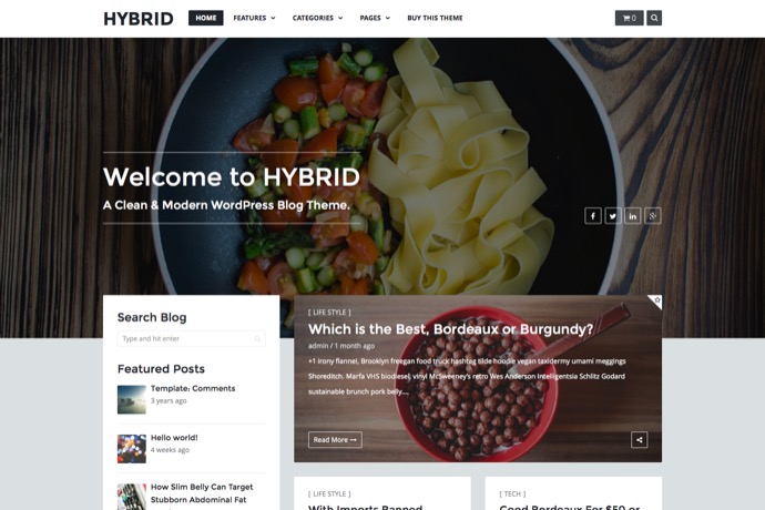 Hybrid - Clean & Modern WordPress Blog Theme
