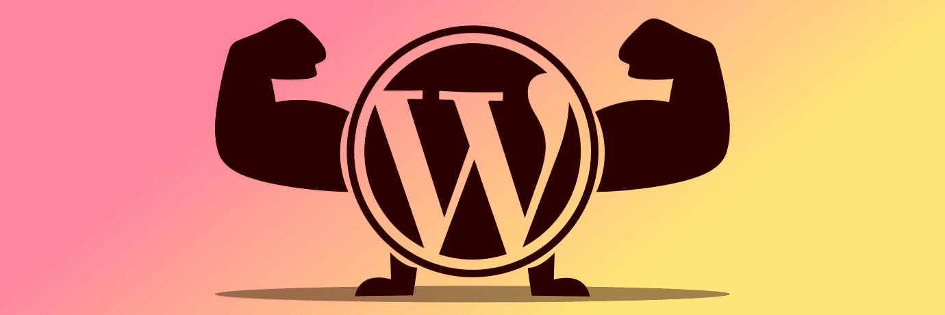 Plugins für WordPress auswählen