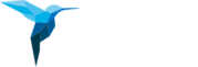 Elbnetz-Logo-WordPress-Akademie
