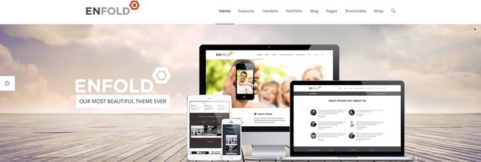 die anpassungsfaehigkeit von wordpress themes am beispie enfold